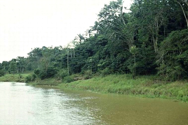 amazonka-amazon-river